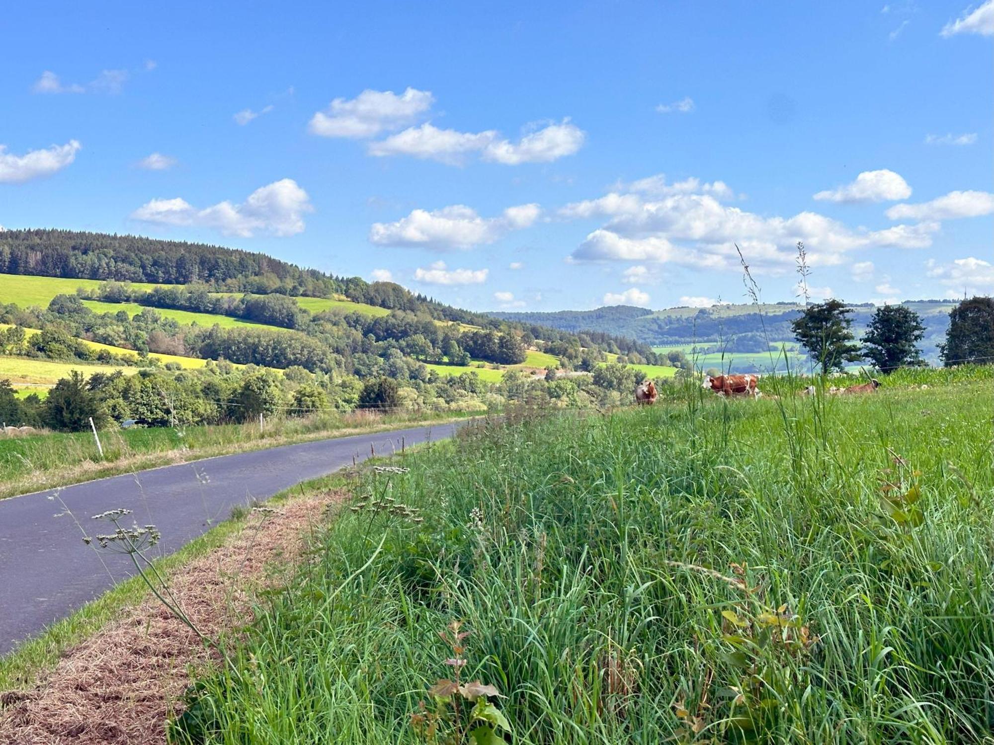 Rhoenzeit Apartements Und Hilders